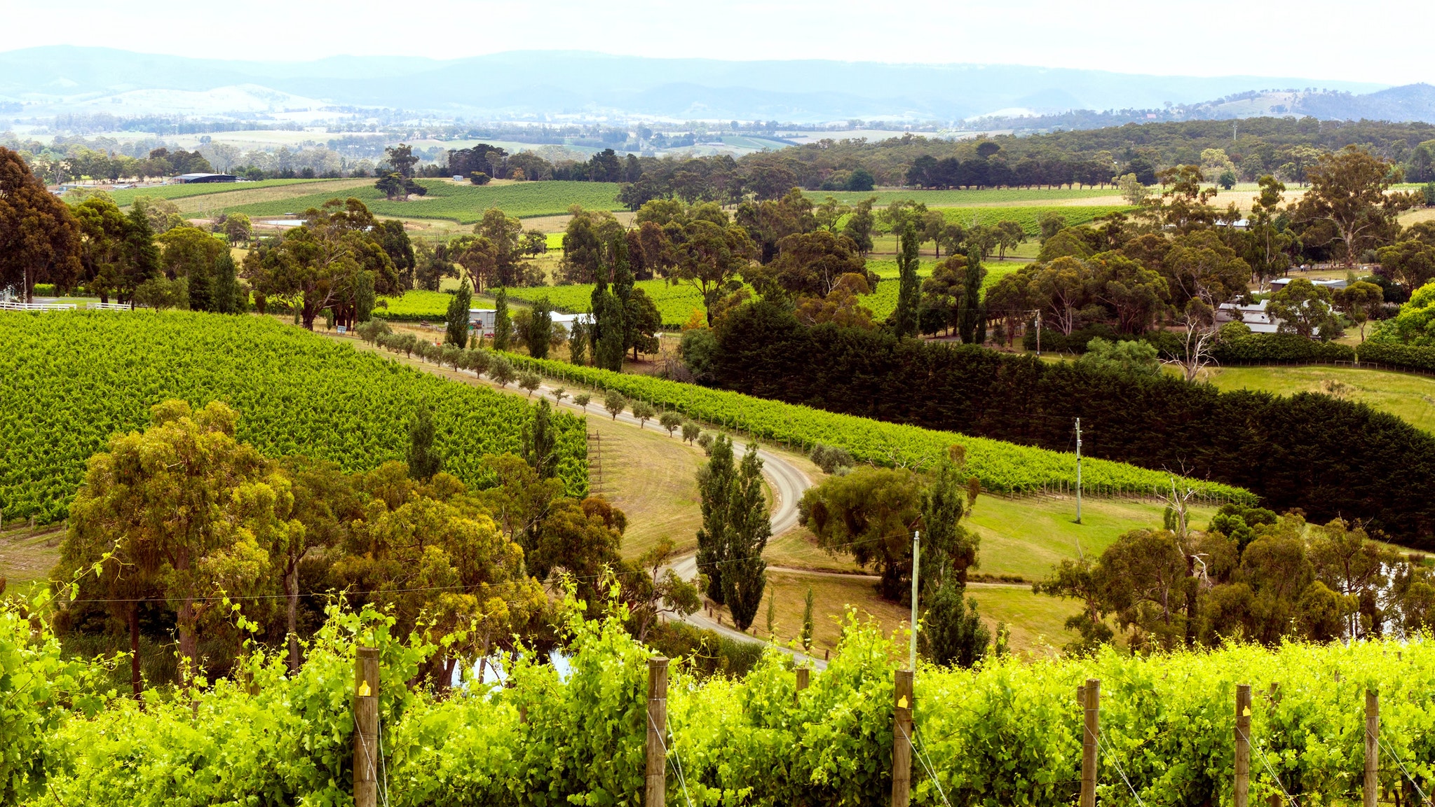 private tours yarra valley